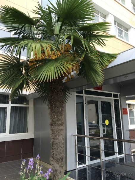 Отличная дислокация