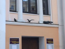 Нижний Новгород. Шапочное знакомство в выходные