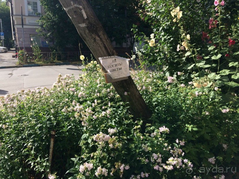 Нижний Новгород. Шапочное знакомство в выходные