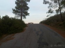 Едешь себе так, едешь.. А тут бац, и овцы...