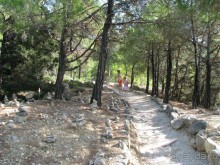 Дорожка к замку