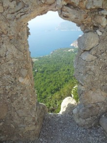 Духозахватывающие виды