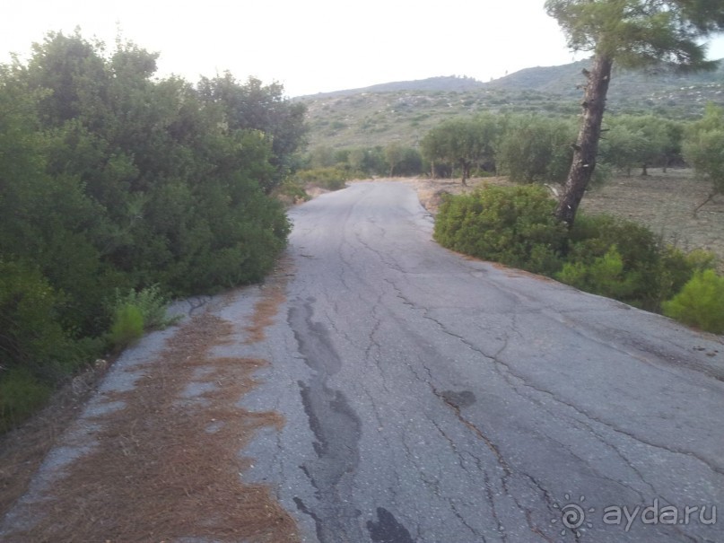 Дорога от Лаермы до Асклипио