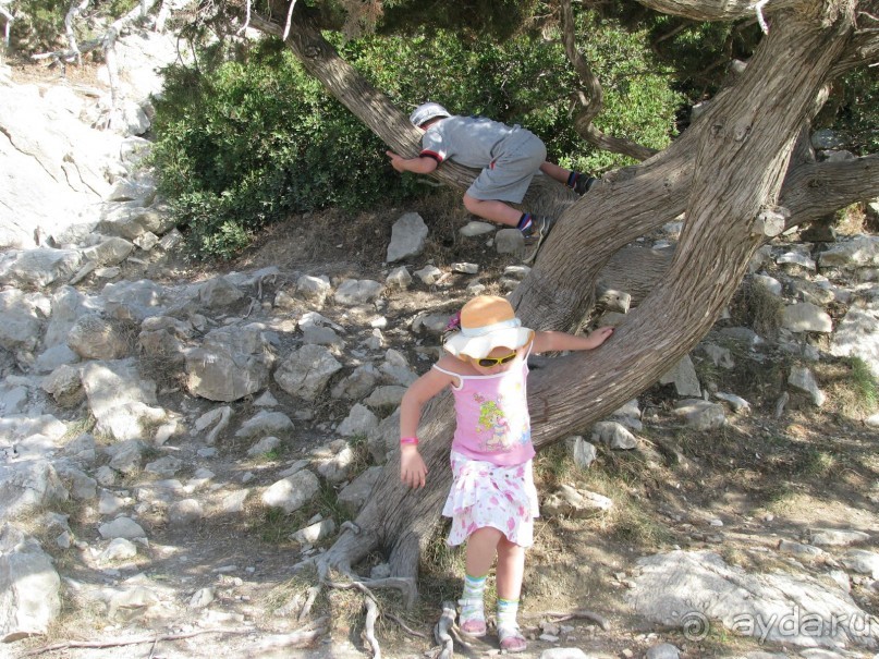 Еще один способ осмотра достопримечательностей)))