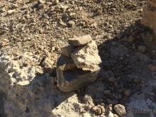 Остров Родос. Родосские интересности глазами взрослых и детей