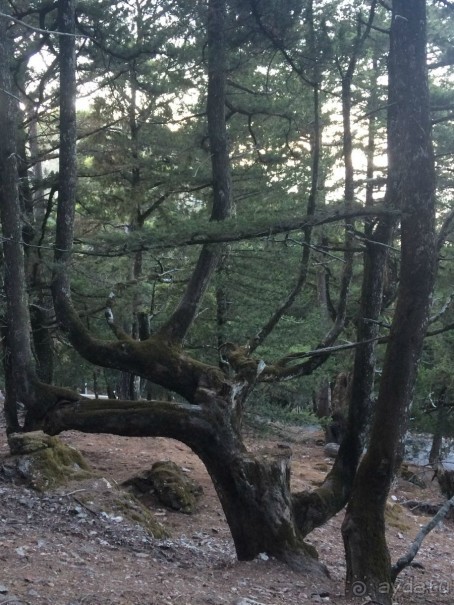 Остров Родос. Родосские интересности глазами взрослых и детей