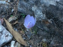 Остров Родос. Родосские интересности глазами взрослых и детей