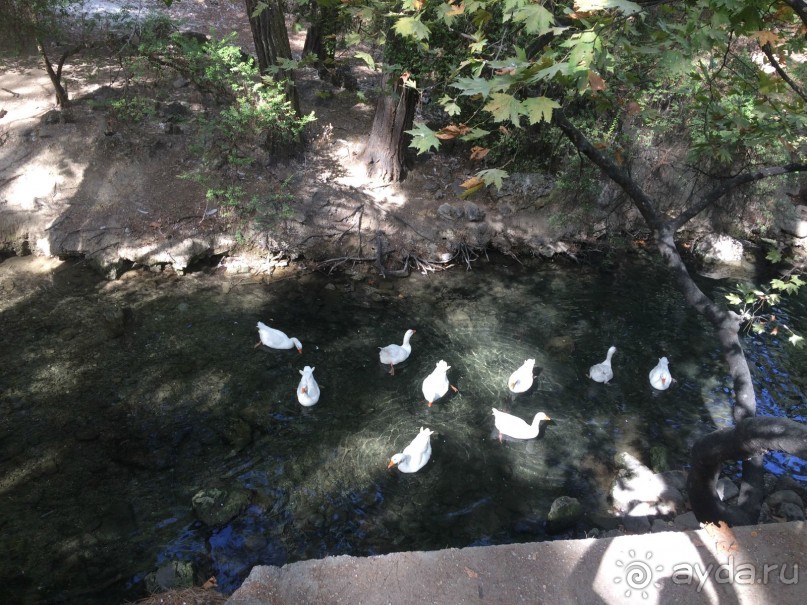 Остров Родос. Родосские интересности глазами взрослых и детей