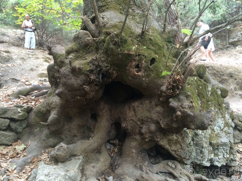 Остров Родос. Родосские интересности глазами взрослых и детей