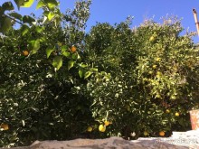 Остров Родос. Родосские интересности глазами взрослых и детей