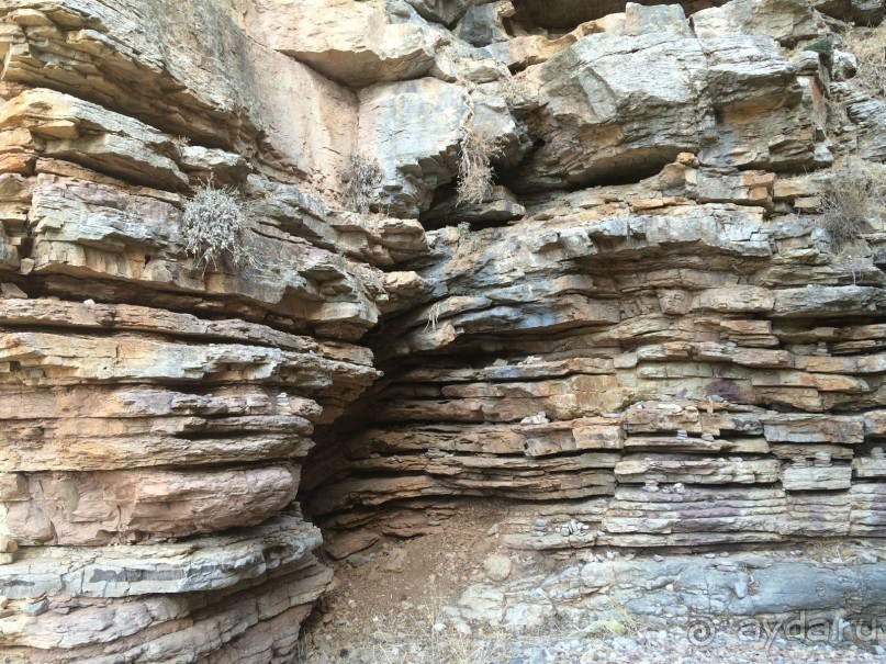 Остров Родос. Родосские интересности глазами взрослых и детей