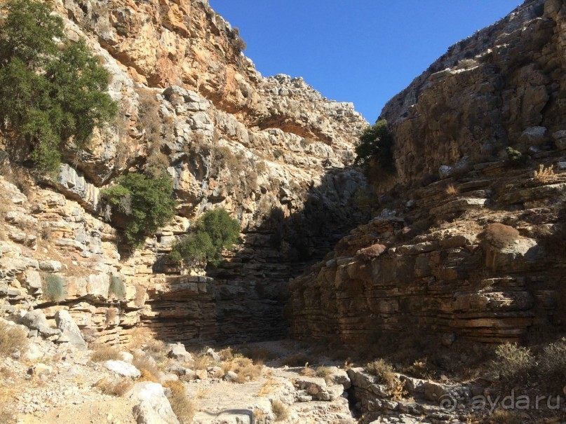 Остров Родос. Родосские интересности глазами взрослых и детей