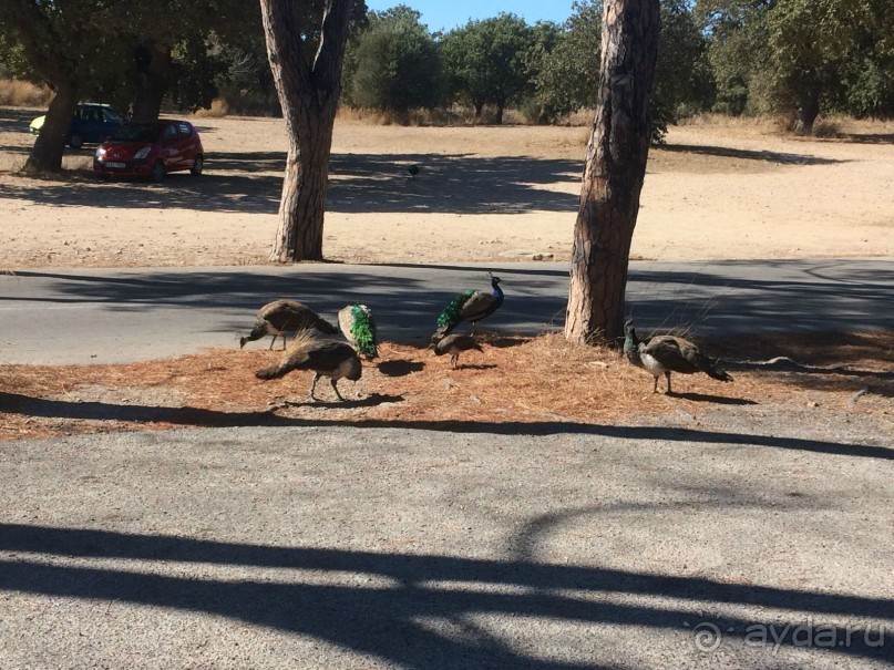 Остров Родос. Родосские интересности глазами взрослых и детей