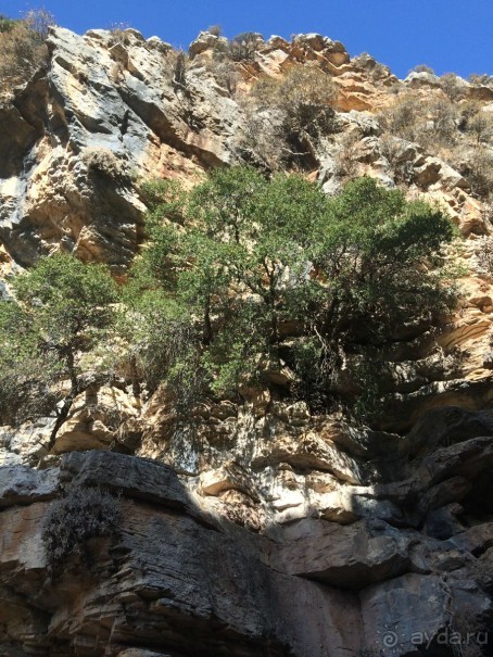 Остров Родос. Родосские интересности глазами взрослых и детей