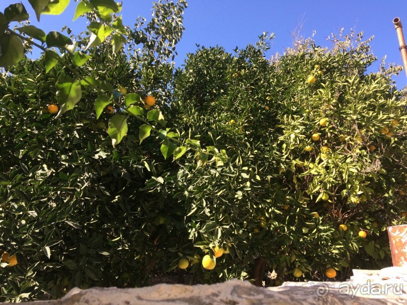 Остров Родос. Родосские интересности глазами взрослых и детей