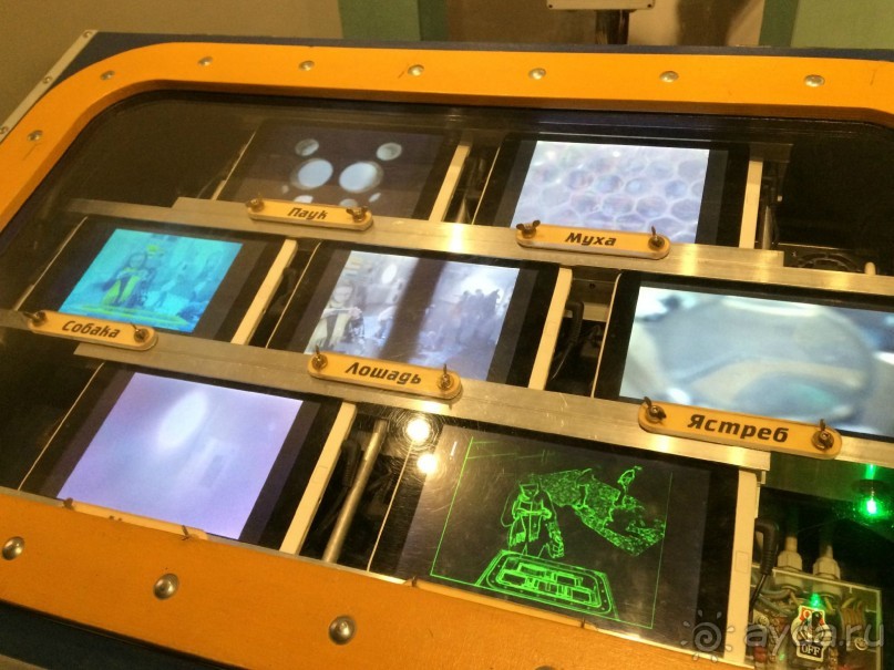 Установка, проецирующая разные взгляды