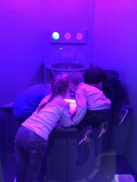 Интерактивный музей человека "Живые системы" с детьми. Взрыв мозга :)