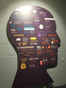 Тараканье побоище