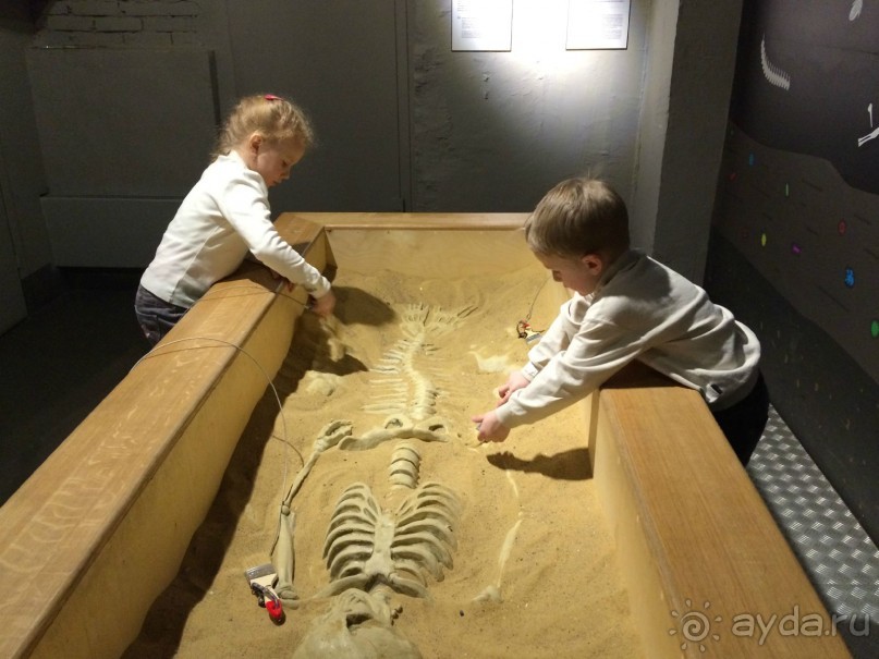 Реакция зрачка на свет