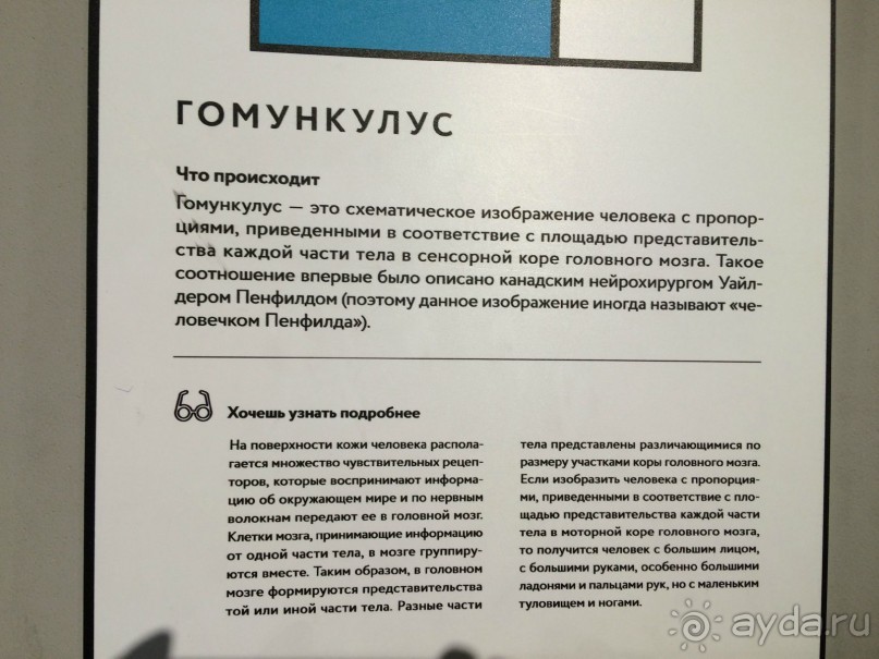 Интерактивный музей человека "Живые системы" с детьми. Взрыв мозга :)