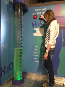 Малайский медведь -  собственной персоной