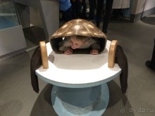 Муравьиный дом