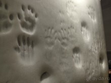 Стоит маме отвернуться...