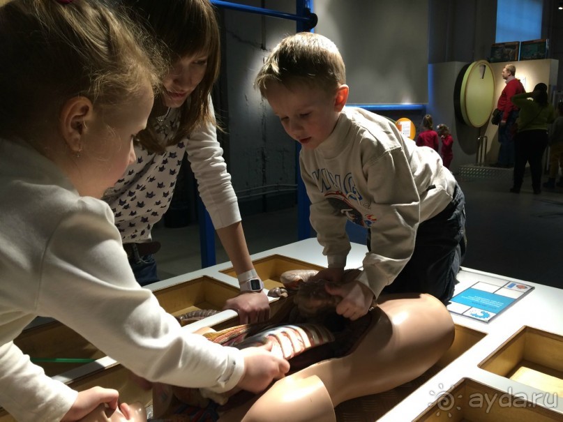 Интерактивный музей человека "Живые системы" с детьми. Взрыв мозга :)