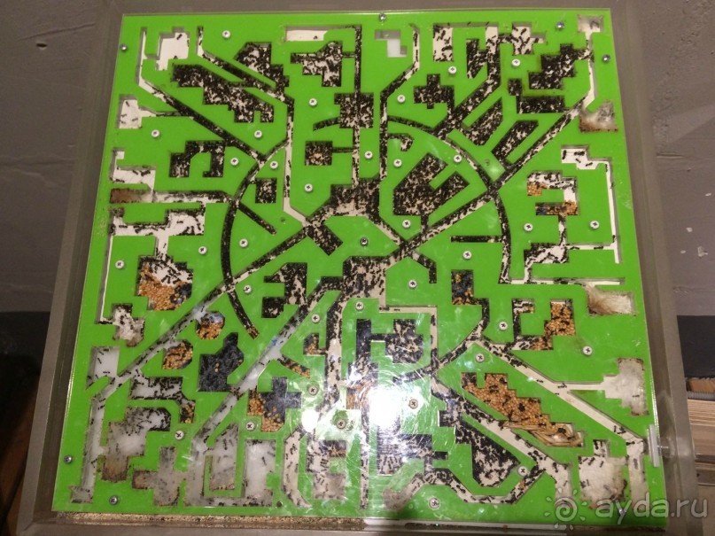 Отметиться удается не каждому