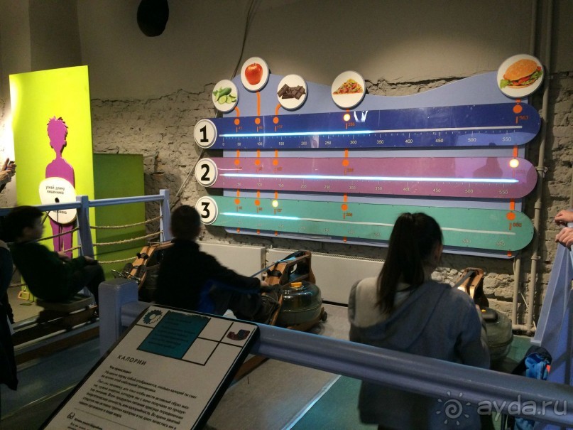 Интерактивный музей человека "Живые системы" с детьми. Взрыв мозга :)