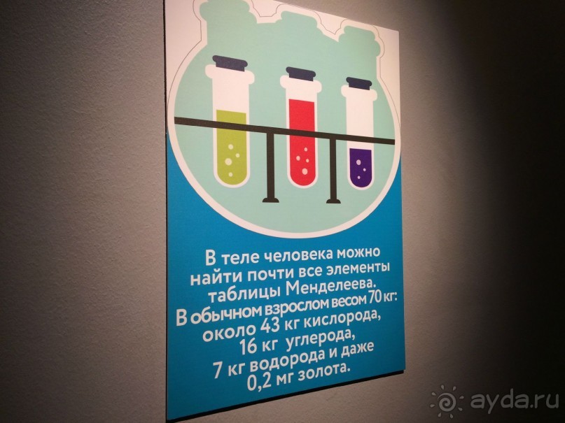 Интерактивный музей человека "Живые системы" с детьми. Взрыв мозга :)