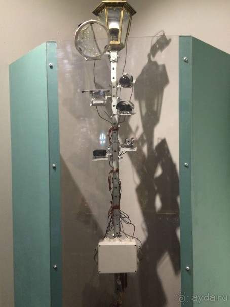 Интерактивный музей человека "Живые системы" с детьми. Взрыв мозга :)