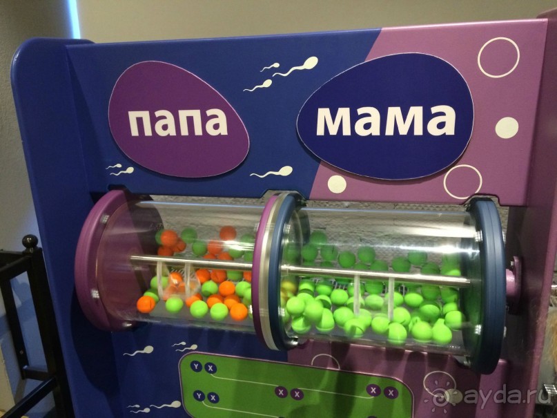 Интерактивный музей человека "Живые системы" с детьми. Взрыв мозга :)