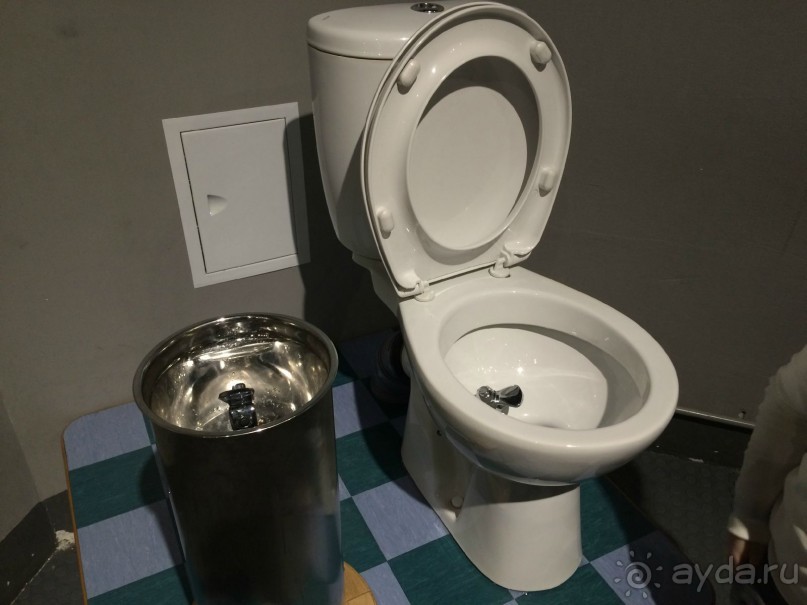 Интерактивный музей человека "Живые системы" с детьми. Взрыв мозга :)