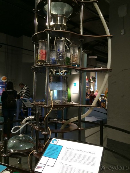 Моей спортивной подготовки хватило только до огурца )))