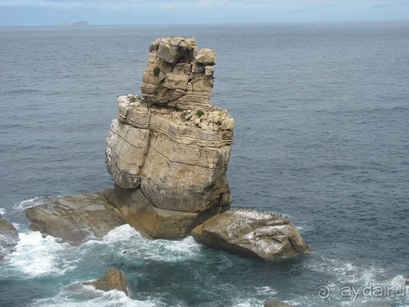 Обригада Португалия и Атлантик!