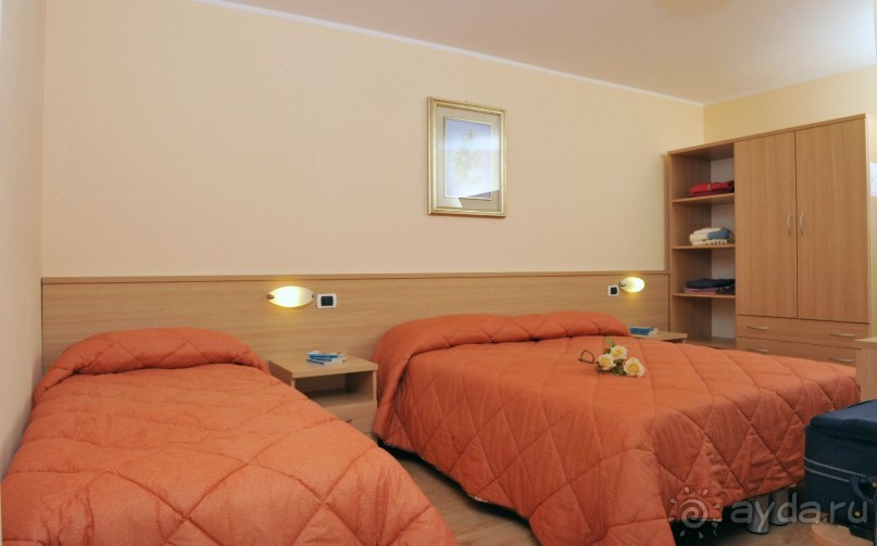 Яблоки на снегу в Долине Солнца