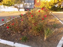 Чудесный отдых 