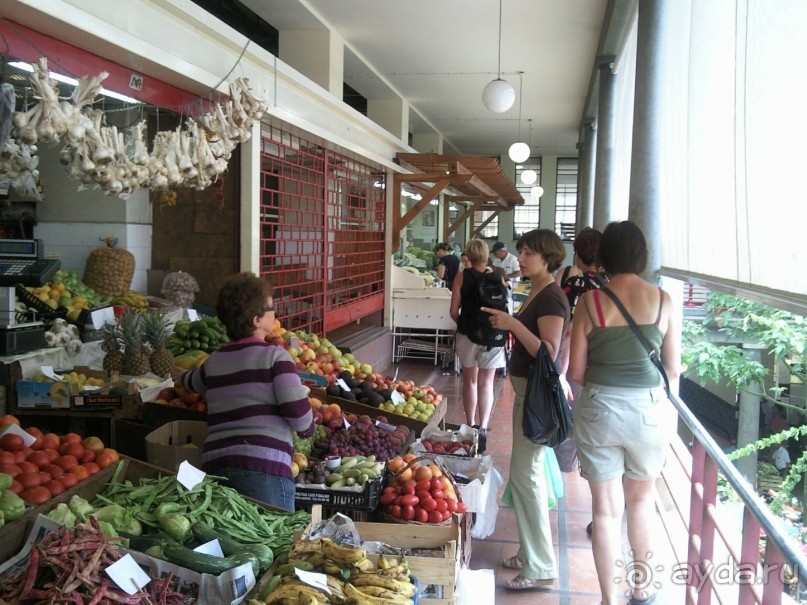 Про неизвестную страну 