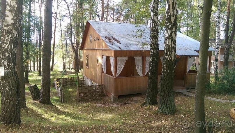 Отличная осенняя сказка