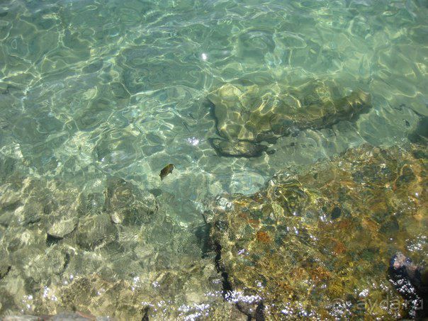 фото King Tut Aqua Park Resort 