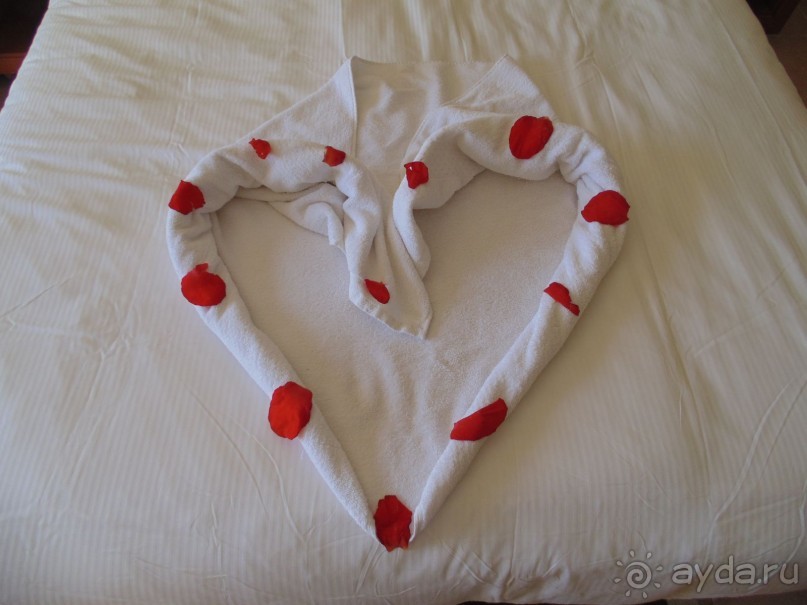 фото Hilton Hurghada Plaza