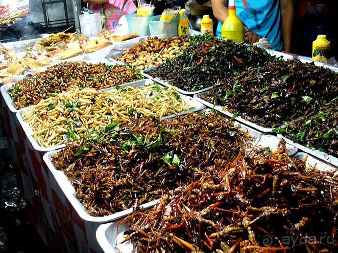 Альбом отзыва "Таиланд - удивительная страна!"