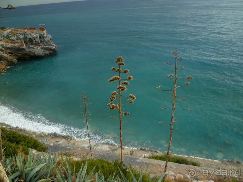 Турция  и квартира мечты.
