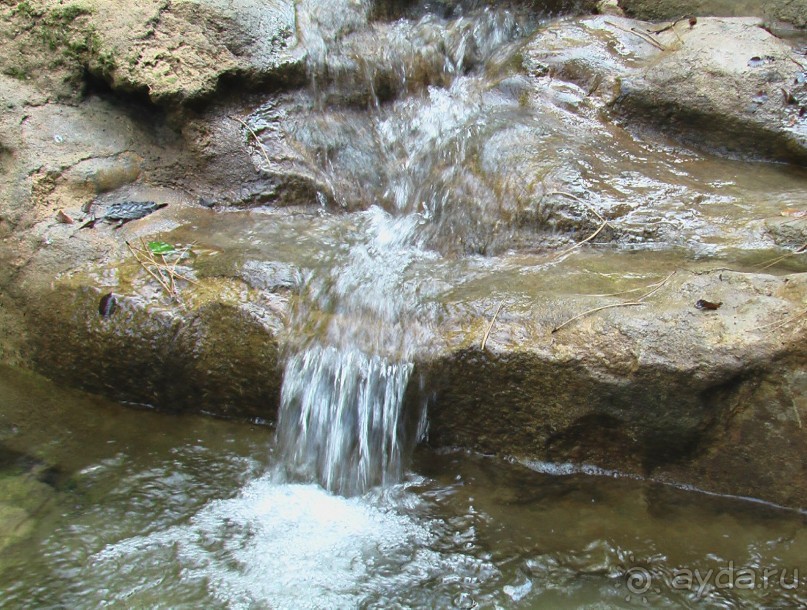 Отзыв об 11-и дневном путешествии по Крыму от ruatravel