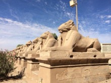 Всем остались довольны