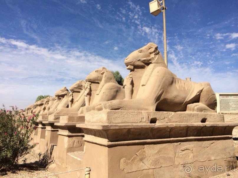 Всем остались довольны