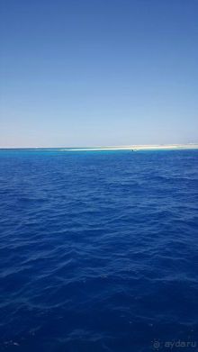 Отличный отдых на берегу Красного моря