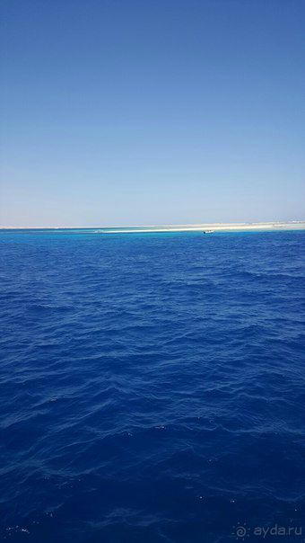 Отличный отдых на берегу Красного моря