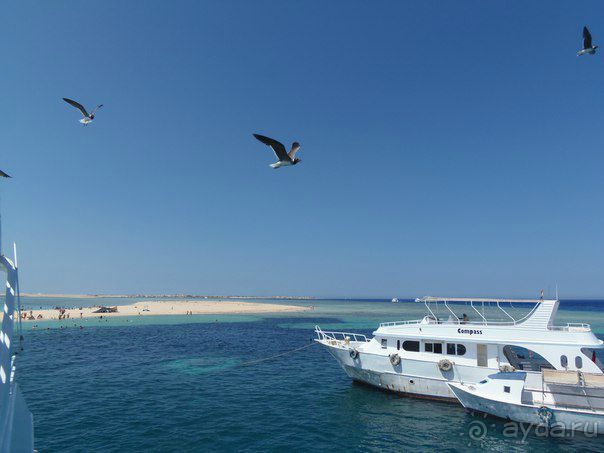 Отличный отдых на берегу Красного моря